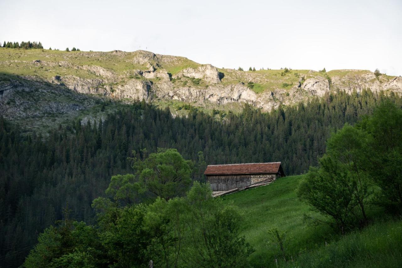 Къща До Гората Триград Villa Eksteriør bilde